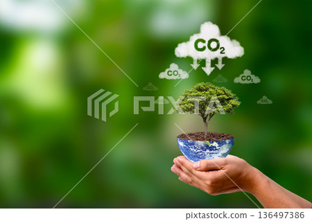 The CO2 symbol, or carbon dioxide, on a tree held by people represents the concept of reducing carbon dioxide emissions. The CO2 symbol, or carbon dioxide, on a tree held by people represents the concept of reducing carbon dioxide emissions. 136497386