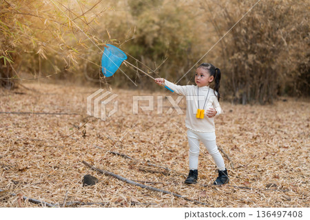 Little child girl holding blue butterfly net exploring the dry forest 136497408