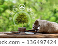 tree growing on pile of coins with plant growing 136497424