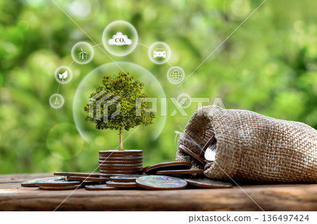 tree growing on pile of coins with plant growing tree growing on pile of coins with plant growing 136497424
