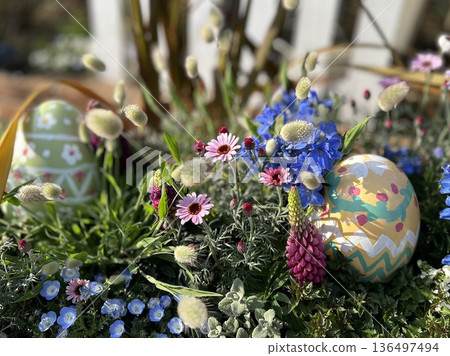 Easter eggs surrounded by spring flowers in full bloom. A garden scene with nemophila and daisies in full bloom. 136497494