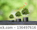 concept of investment income and growth with tree in stack 136497616