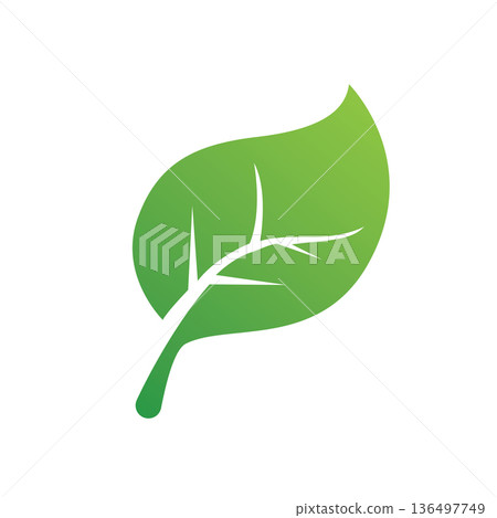 Creative leaf logo vector template - Stock Illustration [136497749] - PIXTA