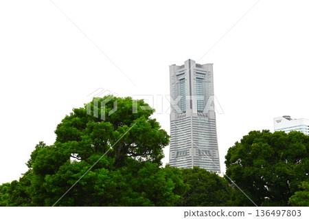 從這裡可以看到港未來地標塔。 從這裡可以看到港未來地標塔。 136497803