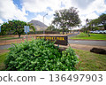 Koko Head 3 136497903