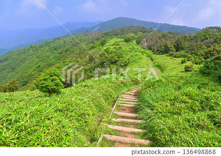 伊豆半島伊豆山脊步道:夏季從小達磨山眺望金冠山 伊豆半島伊豆山脊步道:夏季從小達磨山眺望金冠山 136498868