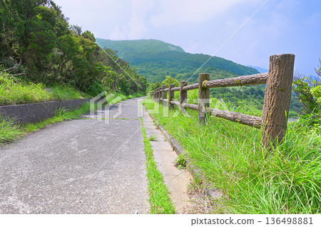 Izu Peninsula's Izuyama Ridge Trail: View of Kodarumayama from the trail on the Darumayama Plateau in summer 136498881