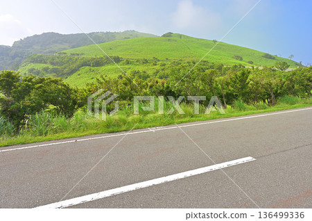 伊豆半島 - 夏季伊豆山脊步道 - 沿著西伊豆天際線公路向達摩山方向徒步 136499336