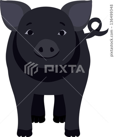Cute Black Pig Illustration Farm Livestock Animal Flat Design Cute Black Pig Illustration Farm Livestock Animal Flat Design 136499348