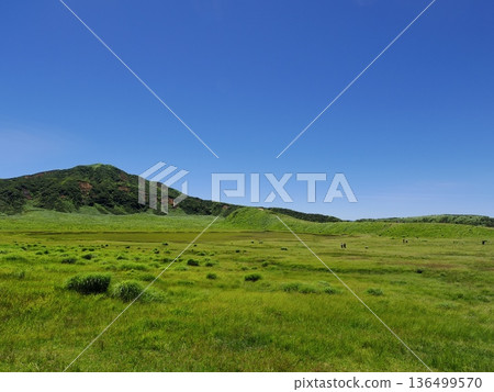Kusasenrigahama Beach (Kumamoto Prefecture) Kusasenrigahama Beach (Kumamoto Prefecture) 136499570