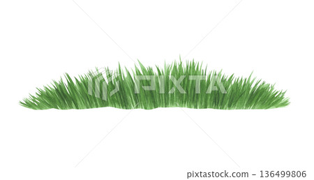 Watercolor illustration of a green lawn Watercolor illustration of a green lawn 136499806