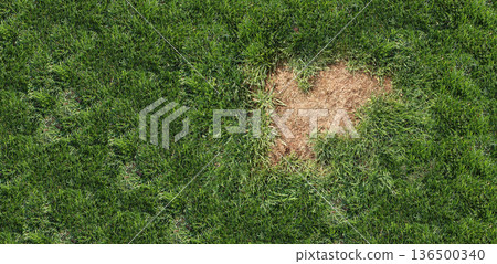 Lawn Disease Background 136500340