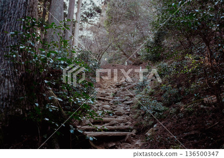 大山阿夫利神社健行步道 大山阿夫利神社健行步道 136500347