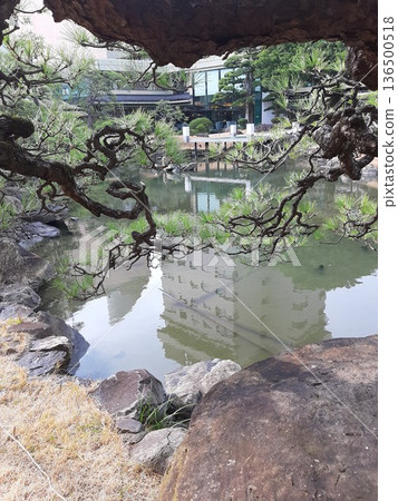 花園中倒映著建築物的景色 136500518