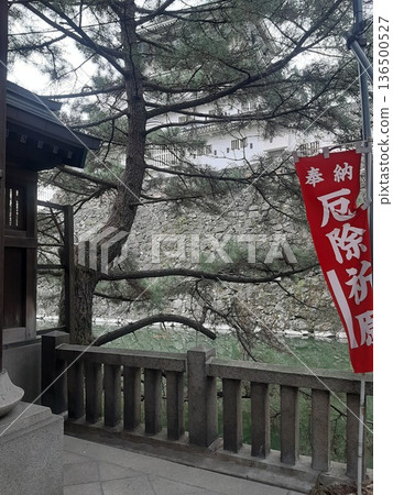 松樹在神社的區域 136500527