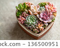 heart-shaped succulent arrangement top-down view, gardening theme for Valentine's Day 136500951