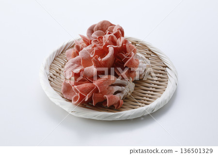 白色背景上的濾鍋裡的黃色平菇 136501329