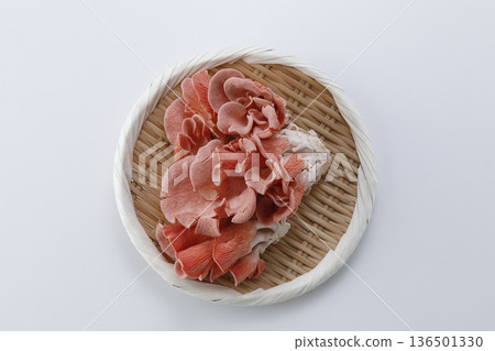 白色背景上的濾鍋裡的黃色平菇 136501330