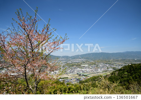 從五劍端岩掛觀音（黑川路）眺望橋本市和紀之川 [和歌山縣橋本市] 136501667