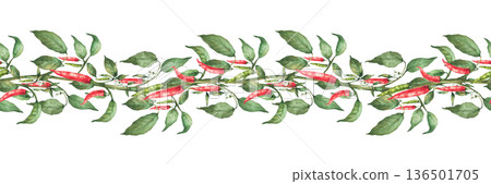 Watercolor Hot Chili pepper plant seamless border. Red, and green pepper pods with flowers and leaves on the stem. Hot spicy vegetables horizontal pattern on Isolated white background illustration Watercolor Hot Chili pepper plant seamless border. Red, and green pepper pods with flowers and leaves on the stem. Hot spicy vegetables horizontal pattern on Isolated white background illustration 136501705