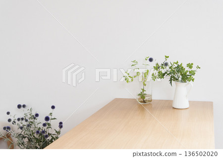 桌上的室內植物 136502020
