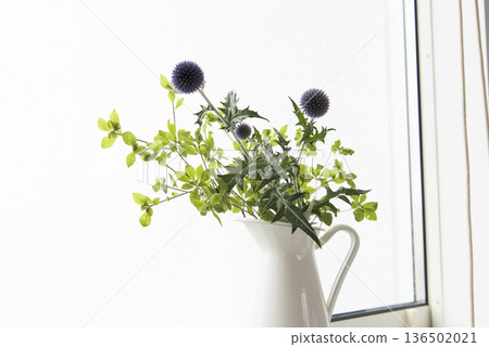 窗邊的鮮花 窗邊的鮮花 136502021
