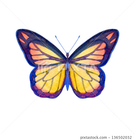 Hand-painted watercolor illustration of a beautiful butterfly with blue-purple wing borders and a bright yellow-orange center. This detailed insect sketch features a symmetric design, ideal for nature 136502032