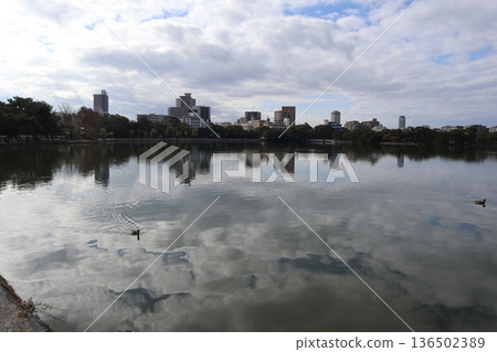 2024年，福岡，福岡市，景觀，中央區，大濠公園，大濠公園，第7部分 136502389