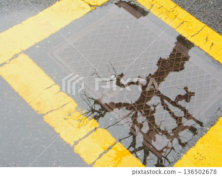 reflection of puddle reflection of puddle 136502678
