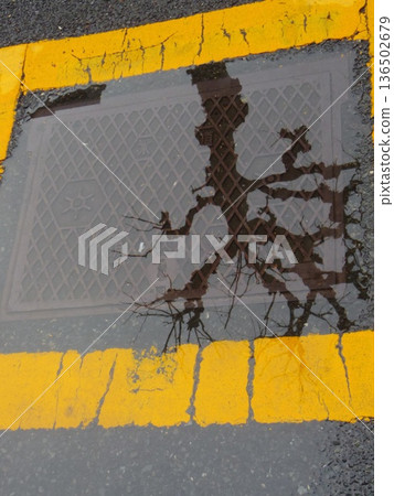 reflection of puddle reflection of puddle 136502679
