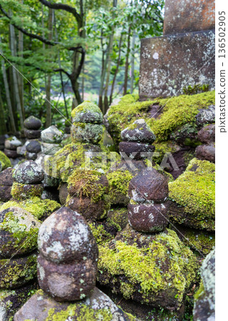 Gorinto stone pagodas in the bamboo forest of Hokoku-ji, Kamakura 136502905