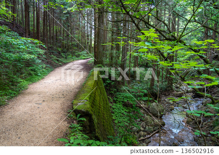 River flowing along the Nakasendo trail between Magome and Tsumago, Japan 136502916