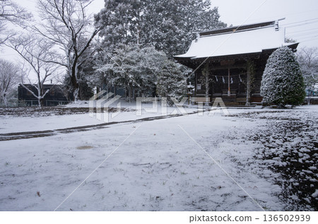神奈川縣羽田野市鶴卷町白雪皚皚的石座神社 神奈川縣羽田野市鶴卷町白雪皚皚的石座神社 136502939