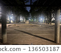 夜幕下的步行平台。人行道設有路燈，可欣賞公寓大樓的夜景。 136503187
