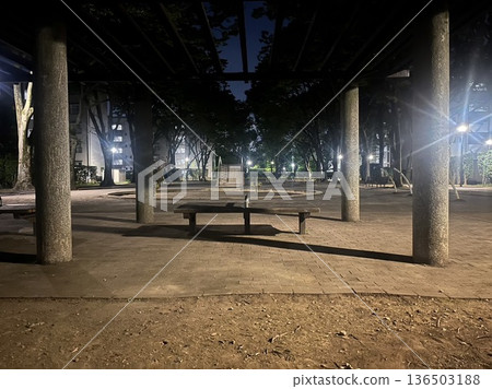 夜幕下的步行平台。人行道設有路燈,可欣賞公寓大樓的夜景。 夜幕下的步行平台。人行道設有路燈,可欣賞公寓大樓的夜景。 136503188