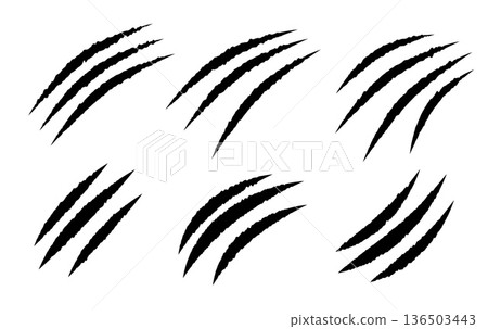 Claw scratches isolated on white background, black bear and tiger animal scratch marks in flat vector style, perfect for wild design concepts, danger themes, posters, prints, tattoos, and graphic Claw scratches isolated on white background, black bear and tiger animal scratch marks in flat vector style, perfect for wild design concepts, danger themes, posters, prints, tattoos, and graphic 136503443