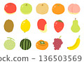 Hand-drawn fruit vector illustration set 136503569