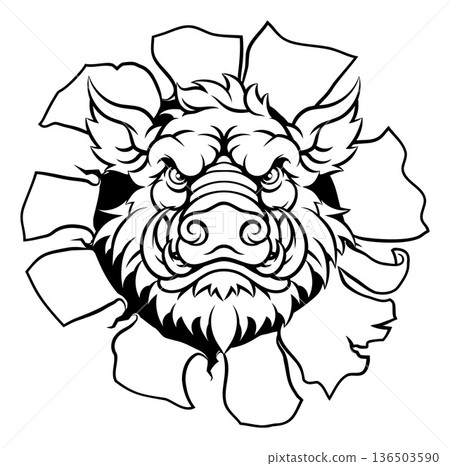 Boar Wild Hog Razorback Warthog Pig Sports Mascot Boar Wild Hog Razorback Warthog Pig Sports Mascot 136503590
