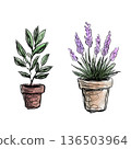 Olive and lavender potted plants hand-drawn watercolor illustration set (transparent PNG) 136503964