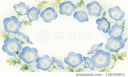 粉蝶花預示著春天的到來 136504051