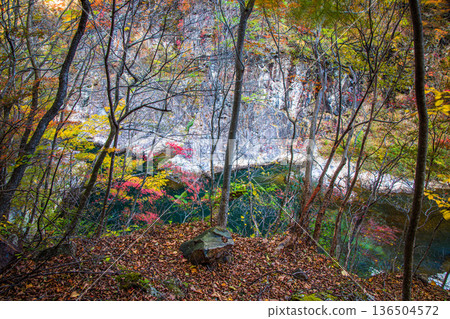 [Tochigi Prefecture_Ryuokyo] When you get off the station, you will find the park of yellow leaves, rocks and water, Ryuokyo 136504572