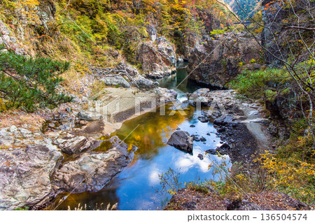 [Tochigi Prefecture_Ryuokyo] When you get off the station, you will find the park of yellow leaves, rocks and water, Ryuokyo 136504574
