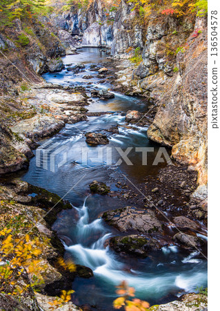 [Tochigi Prefecture_Ryuokyo] When you get off the station, you will find the park of yellow leaves, rocks and water, Ryuokyo 136504578