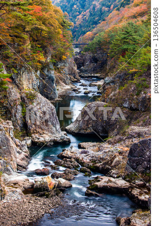 [Tochigi Prefecture_Ryuokyo] When you get off the station, you will find the park of yellow leaves, rocks and water, Ryuokyo 136504608
