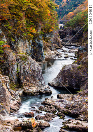 [Tochigi Prefecture_Ryuokyo] When you get off the station, you will find the park of yellow leaves, rocks and water, Ryuokyo 136504613