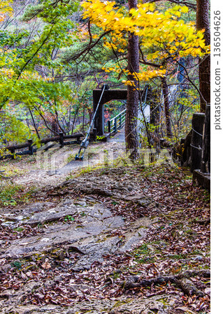 [Tochigi Prefecture_Ryuokyo] When you get off the station, you will find the park of yellow leaves, rocks and water, Ryuokyo 136504626