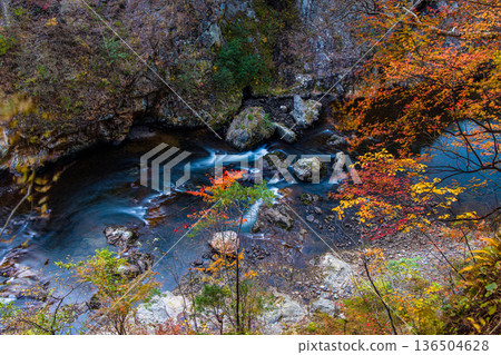 [Tochigi Prefecture_Ryuokyo] When you get off the station, you will find the park of yellow leaves, rocks and water, Ryuokyo 136504628