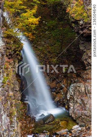 [Tochigi Prefecture_Ryuokyo] When you get off the station, you will find the park of yellow leaves, rocks and water, Ryuokyo 136504640
