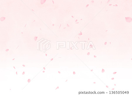 背景素材：花瓣飄落 136505049