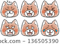 一組可愛的柴犬臉 136505390